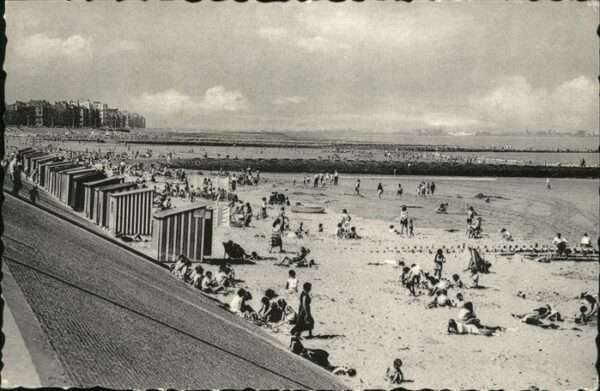 Duinbergen La Plage