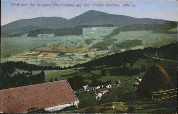 Belchen Elsass Feldpost Blick von der Melkerei Freunds
