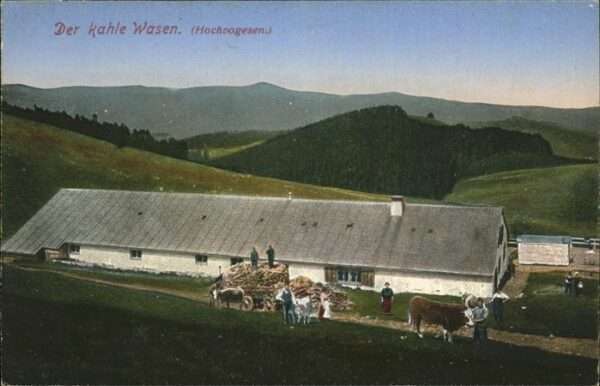 Kahler Wasen Hochvogesen