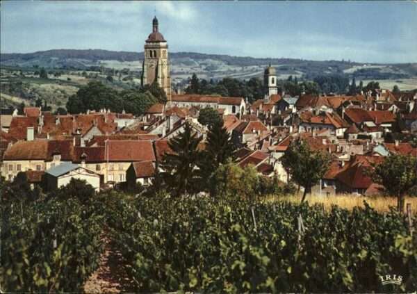 Arbois Vue generale