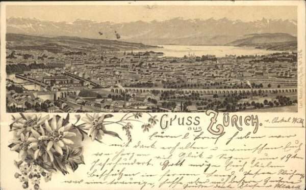 Zuerich Zürichsee Edelweiss