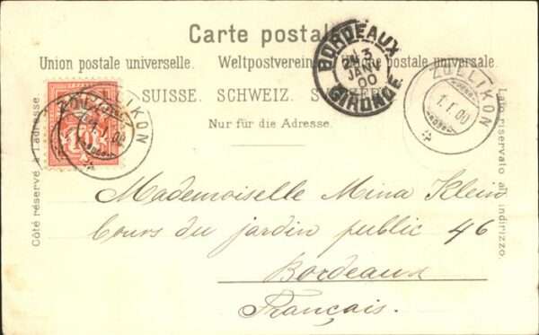 Zuerich Zürichsee Edelweiss – Bild 2