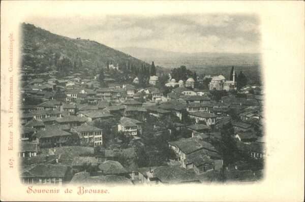 Brousse Castres