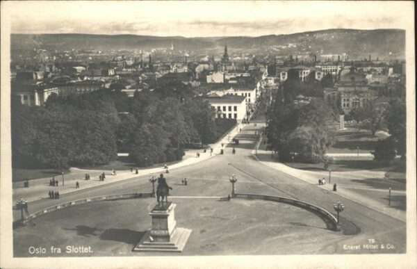 Oslo Norwegen Slottet