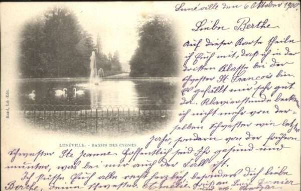 Luneville Bassin des Cygnes Schwan