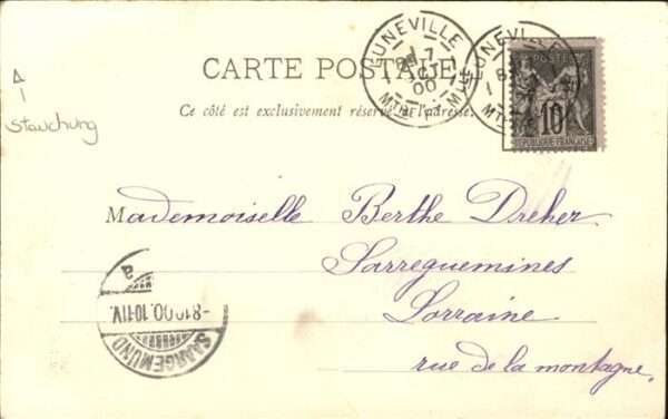 Luneville Bassin des Cygnes Schwan – Bild 2