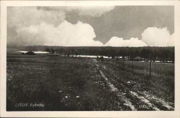 Lisova