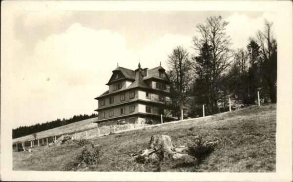 Javornik Jauernig