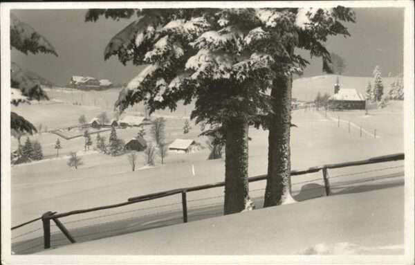 Beskiden-Grun