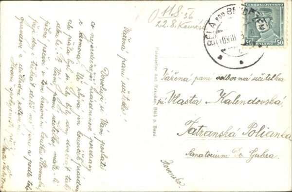 Bela – Bild 2
