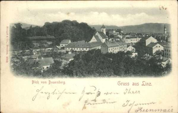 Linz Donau Totalansicht