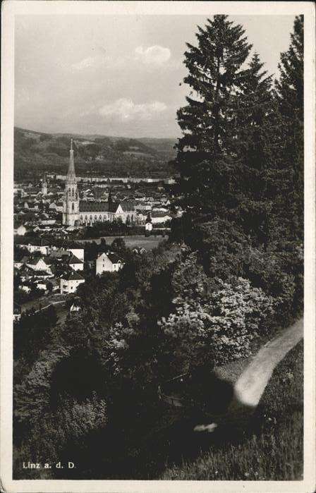 Linz Donau Panorama
