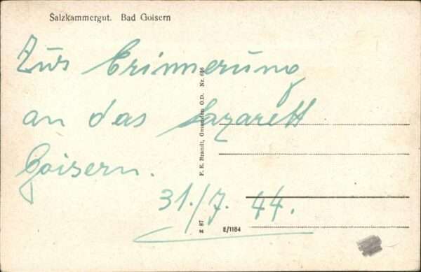 Bad Goisern Salzkammergut Gesamtansicht – Bild 2