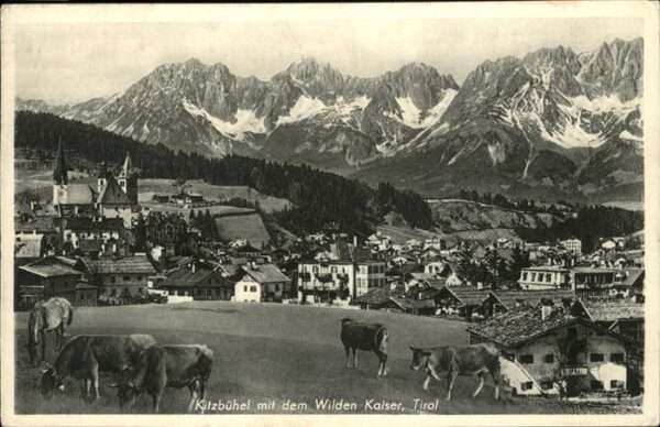 Kitzbuehel Tirol Gesamtansicht wilder Kaiser