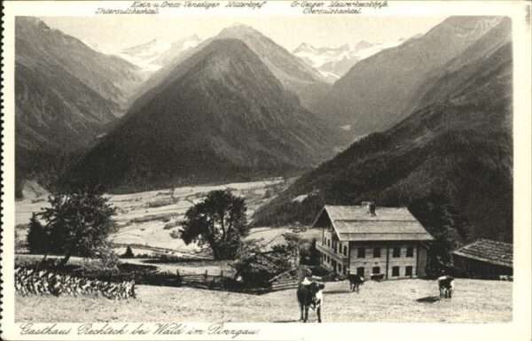Wald Pinzgau Gasthaus Rechteck