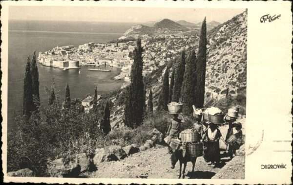 Dubrovnik Ragusa Esel