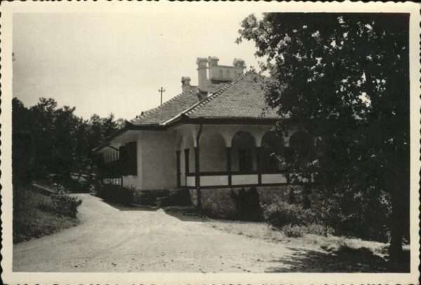 Topola