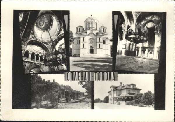 Topola