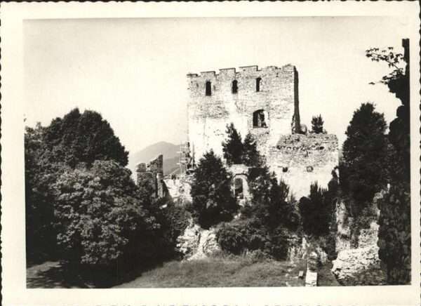 Celje Cilli