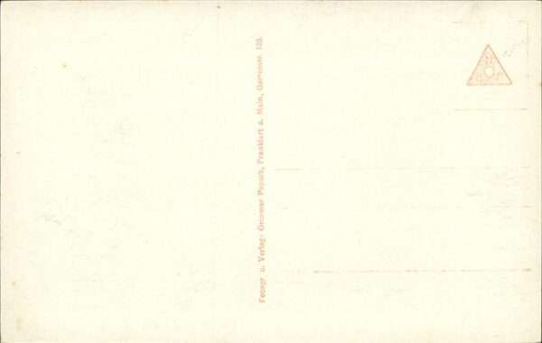 Semendria Jezava Donau Fähre – Bild 2