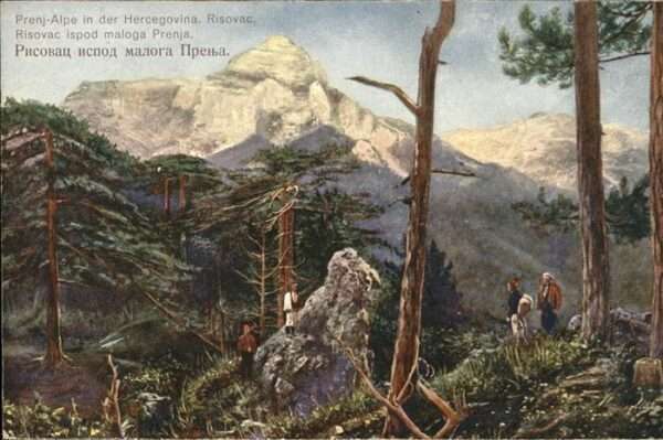 Risovac