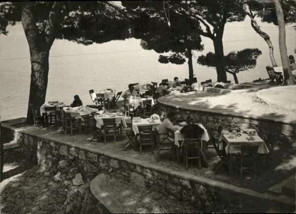 Dalmacija