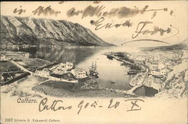 Cattaro