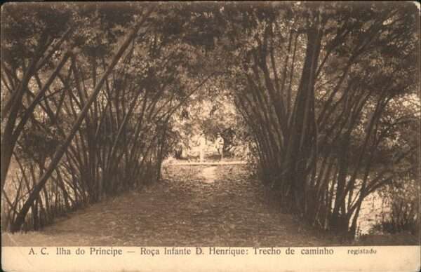Iiha do Principe Trecho de caminho