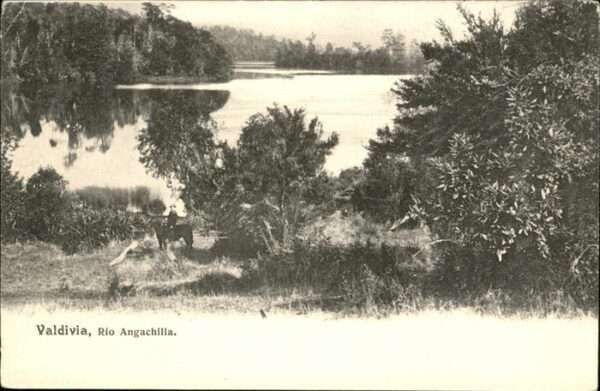 Valdivia Rio Angachilla