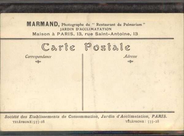Paris Palmarium – Bild 2