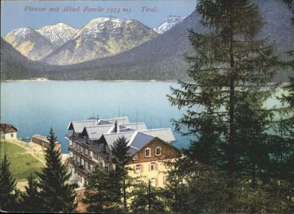 Plansee Hotel Forelle