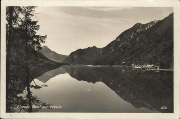 Plansee Hotel Forelle