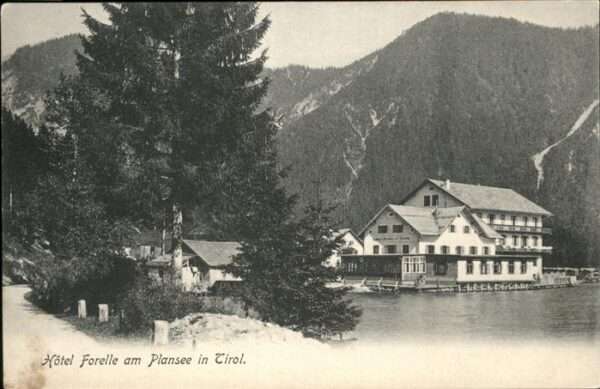 Plansee Hotel Forelle