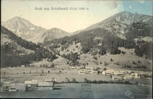 Schattwald Fliegeraufnahme