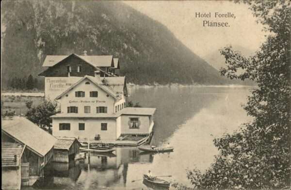 Plansee Hotel Forelle