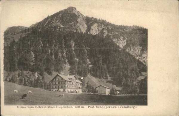 Bad Hopfreben Kühe