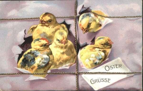Ostern Easter Paques Küken