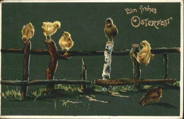Ostern Easter Paques Küken