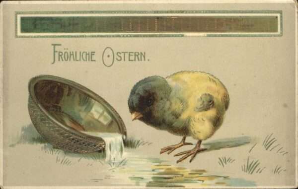 Ostern Easter Paques Küken