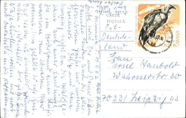 Mamaia – Bild 2