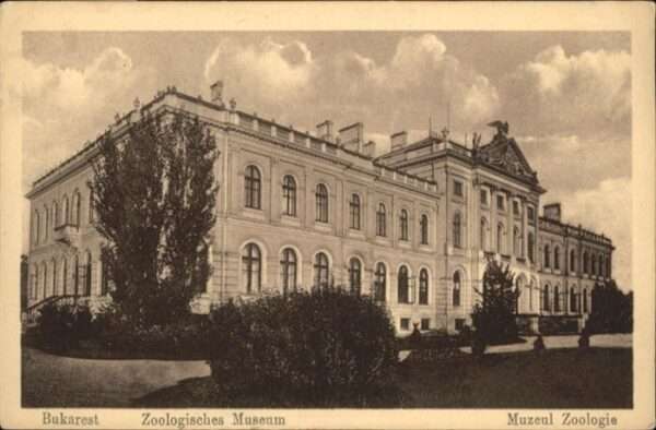 Bukarest Zoologisches Museum