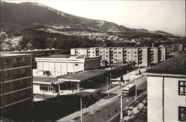 Lupeni