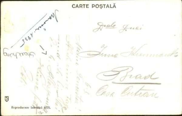 Dtana de Vale – Bild 2