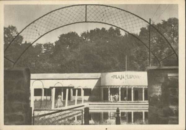 Lipova