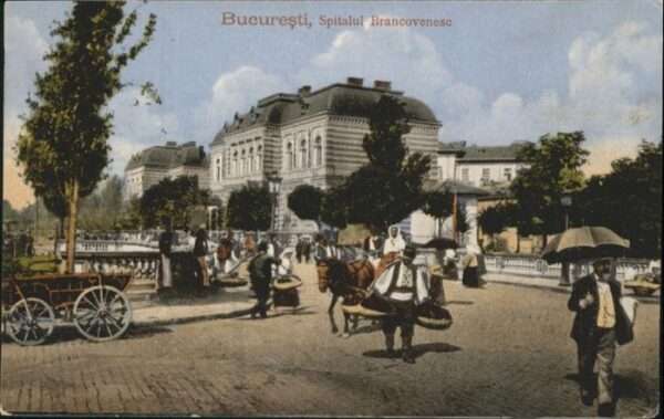 Bucuresti Spitalul Brancovenese Pferd