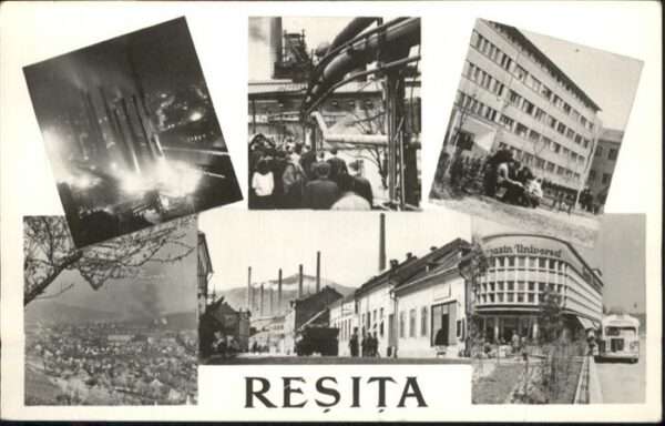 Restia