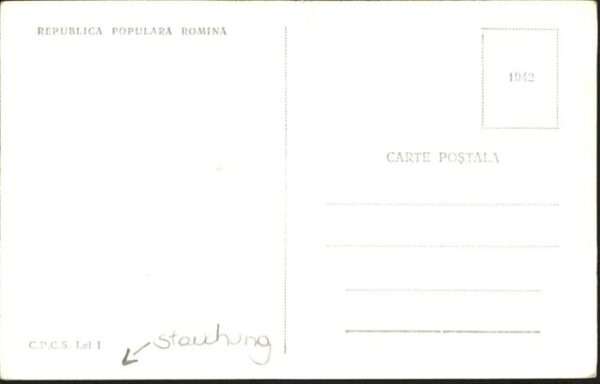 Restia – Bild 2
