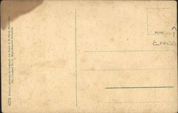 Calimanesti Holteul Statului – Bild 2