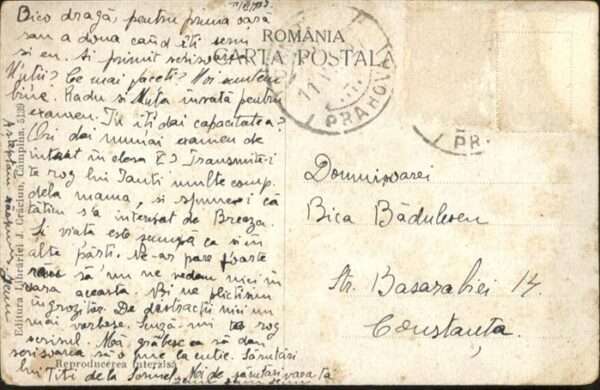 Campina Castelul Julia Hajdeu – Bild 2
