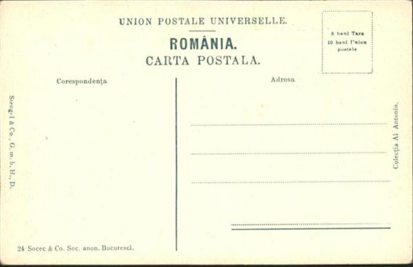 Plevna Porta princilala – Bild 2